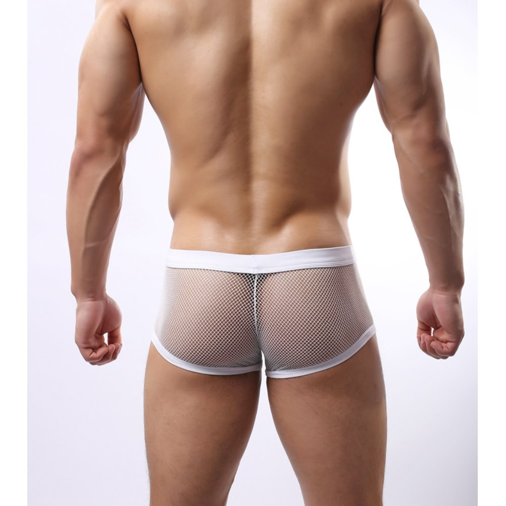 Male Sexy Lingerie Mesh Shorts Boxers See-through Translucent Underwear Sheer Brief 